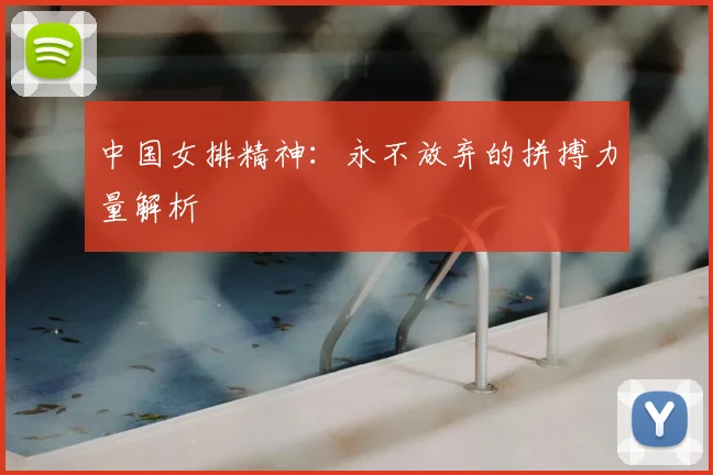 中国女排精神：永不放弃的拼搏力量解析